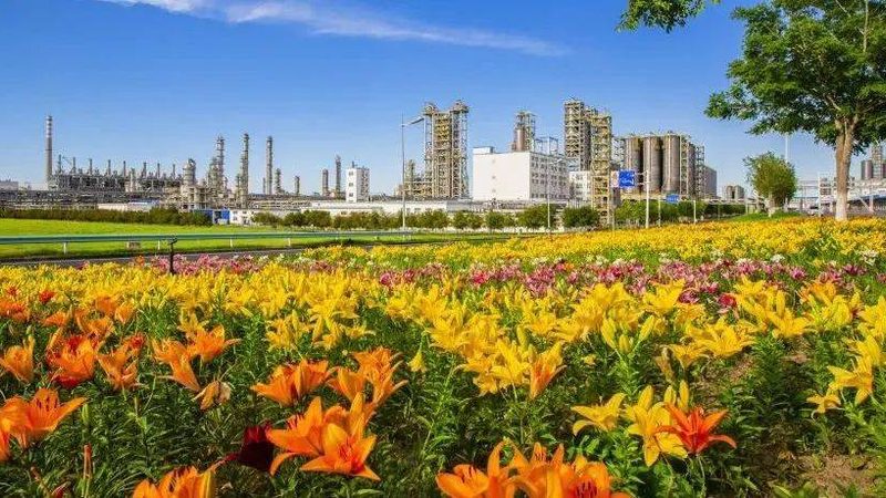 废塑料裂解催化剂选型：别让型号拖垮产油率